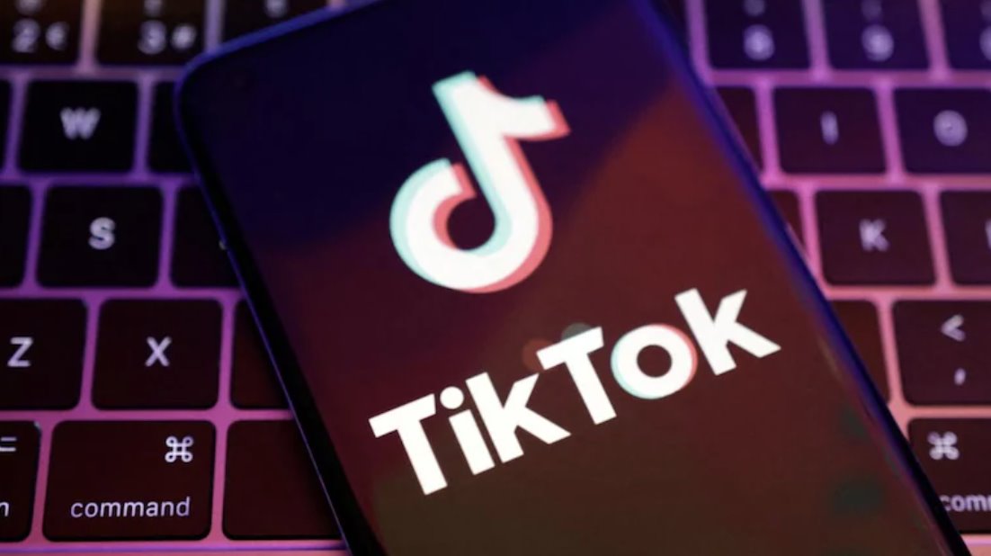 2024年11月，加拿大工業(yè)部下令解散TikTok公司。