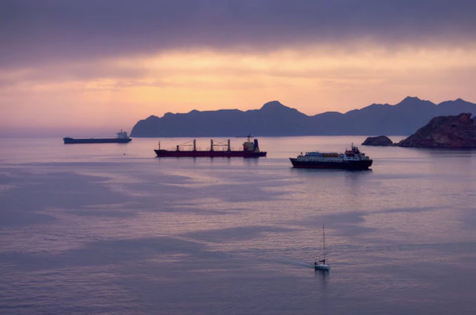 國際能源署成員國周三同意釋放4億桶石油儲(chǔ)量