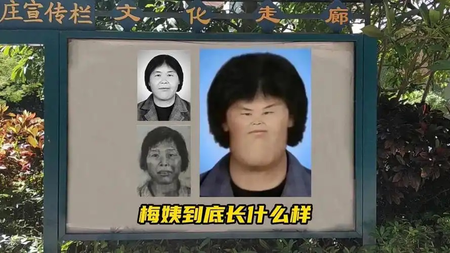 &ldquo;梅姨案&rdquo;受害家長：想看她長什么樣