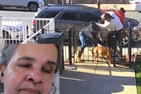 美國一名75歲老婦因要求鄰居清理狗糞而在街頭遭到