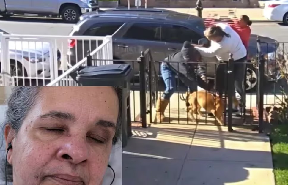 美國一名75歲老婦因要求鄰居清理狗糞而在街頭遭到毆打